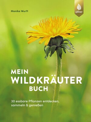 cover image of Mein Wildkräuterbuch